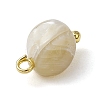Natural Trochus Shell Nuggets Charms with Brass Loops PALLOY-JF03586-01-5