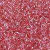 6/0 Transparent Inside Colours Glass Seed Beads SEED-P006-01A-10-3