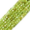 Natural Peridot Beads Strands LS-G-P457-B01-06-1