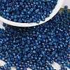 MIYUKI Round Rocailles Beads LS-X-SEED-G008-RR0648-1