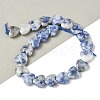 Natural Blue Spot Jasper Beads Strands G-D316-B10-1