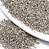FGB 11/0 Grade A Glass Seed Beads SEED-S030-1206-1