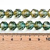 Baking Paint Transparent Glass Beads Strands DGLA-A035-T10mm-A08-5