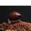 Natural Mahogany Obsidian Egg Figurines Statues for Home Office Desktop Decoration PW-WG1DC51-11-1