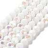 Opaque Glass Beads Strands EGLA-A035-P10mm-L01-1