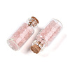 Glass Wishing Bottle Display Decorations AJEW-T013-02L-2