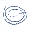 Natural Iolite/Cordierite/Dichroite Beads Strands G-G823-15-2.5mm-2