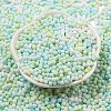 Macaron Color Opaque Frosted Glass Seed Beads SEED-K009-12B-03-2