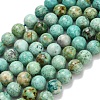 Natural Peruvian Turquoise(Jasper) Beads Strands G-L642-B08-8mm-2