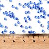Glass Seed Beads SEED-S042-13A-15-4