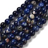 Natural South Africa Sodalite Beads Strands G-S259-35-8mm-4