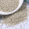 MIYUKI Delica Beads SEED-X0054-DB1451-1