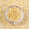 6/0 Glass Seed Beads SEED-A015-4mm-2202-3