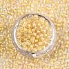 6/0 Glass Seed Beads SEED-A015-4mm-2202-3