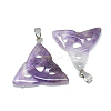 Natural Amethyst Pendants G-T088-16-1