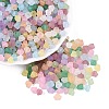 FGB Frosted Transparent Glass Seed Beads SEED-N013-03A-1