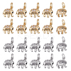 DICOSMETIC 20Pcs 2 Colors Brass Micro Pave Clear Cubic Zirconia Charms ZIRC-DC0001-03-1