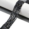 Natural Sapphire Beads Strands X-G-P553-G07-01-2