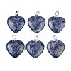 Natural Sodalite Pendants G-G956-B39-FF-2