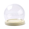 High Borosilicate Glass Cloche Globe Display Dome ODIS-F007-01A-1
