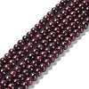 Natural Garnet Bead Strands G-A038-B-01-1