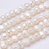 1 Strand Natural Cultured Freshwater Pearl Beads Strands PEAR-PH0001-18-1