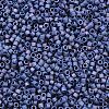 MIYUKI Delica Beads SEED-X0054-DB2319-2