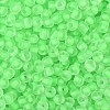 6/0 Luminous Glass Seed Beads X1-SEED-NH0001-01H-4