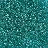FGB 8/0 Grade A Round Glass Seed Beads SEED-Q006-3mm-F20-2
