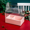 Plastic & Paper Transparent Carrying Flower Gift Box BAKE-PW0002-42A-01-1