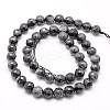 Natural Larvikite Beads Strands G-G736-01-12mm-2