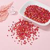 Glass Seed Beads X-SEED-S059-007-7