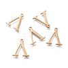 304 Stainless Steel Charms STAS-K215-24G-1