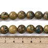 Natural Green Dragon Veins Beads Strands G-D098-A01-10mm-5