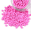 Baking Paint Glass Seed Beads SEED-S003-K2-1