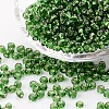 (Repacking Service Available) 6/0 Glass Seed Beads SEED-C014-4mm-27-1