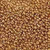 8/0 Glass Seed Beads X-SEED-A017-3mm-1108-2