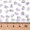 Transparent Spray Painted Glass Seed Beads SEED-L011-10A-20-4