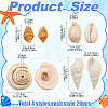 DIY Natural Shell Beads Bracelets Jewelry Making Kits DIY-YW0010-33-2