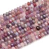 Natural Plum Blossom Tourmaline Beads Strands G-K421-A01-01-2