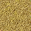 MIYUKI Round Rocailles Beads X-SEED-G008-RR4512-3