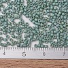 MIYUKI Delica Beads SEED-J020-DB2313-4