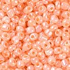 6/0 Glass Seed Beads SEED-XCP0001-19-3