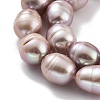 Natural Cultured Freshwater Pearl Beads Strands  PEAR-P062-13F-X-4