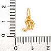 925 Sterling Silver Letter Charms with Jump Rings LS-STER-R008-01G-R-3