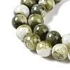 Baking Paint Glass Bead Strands X-GLAA-H031-01B-14-4