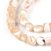 Natural Trochid Shell/Trochus Shell Beads Strands SSHEL-N040-11-3