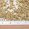 MIYUKI Delica Beads SEED-X0054-DB0034-4