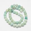 Round Natural Amazonite Bead Strands G-I183-02-10mm-2