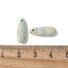 Natural Rainbow Alashan Agate Charms G-G194-05B-3